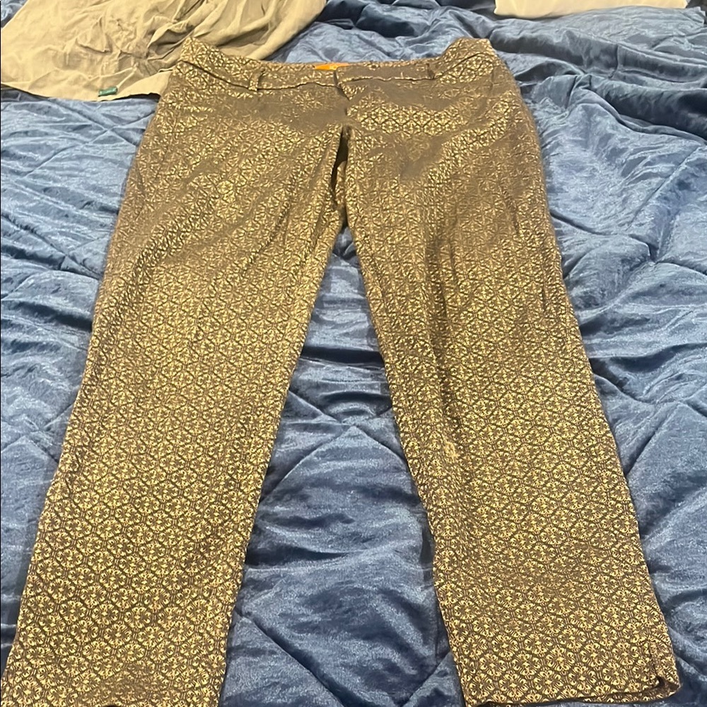 Joe Fresh Gray and Gold Cropped Pants with Textured Knit